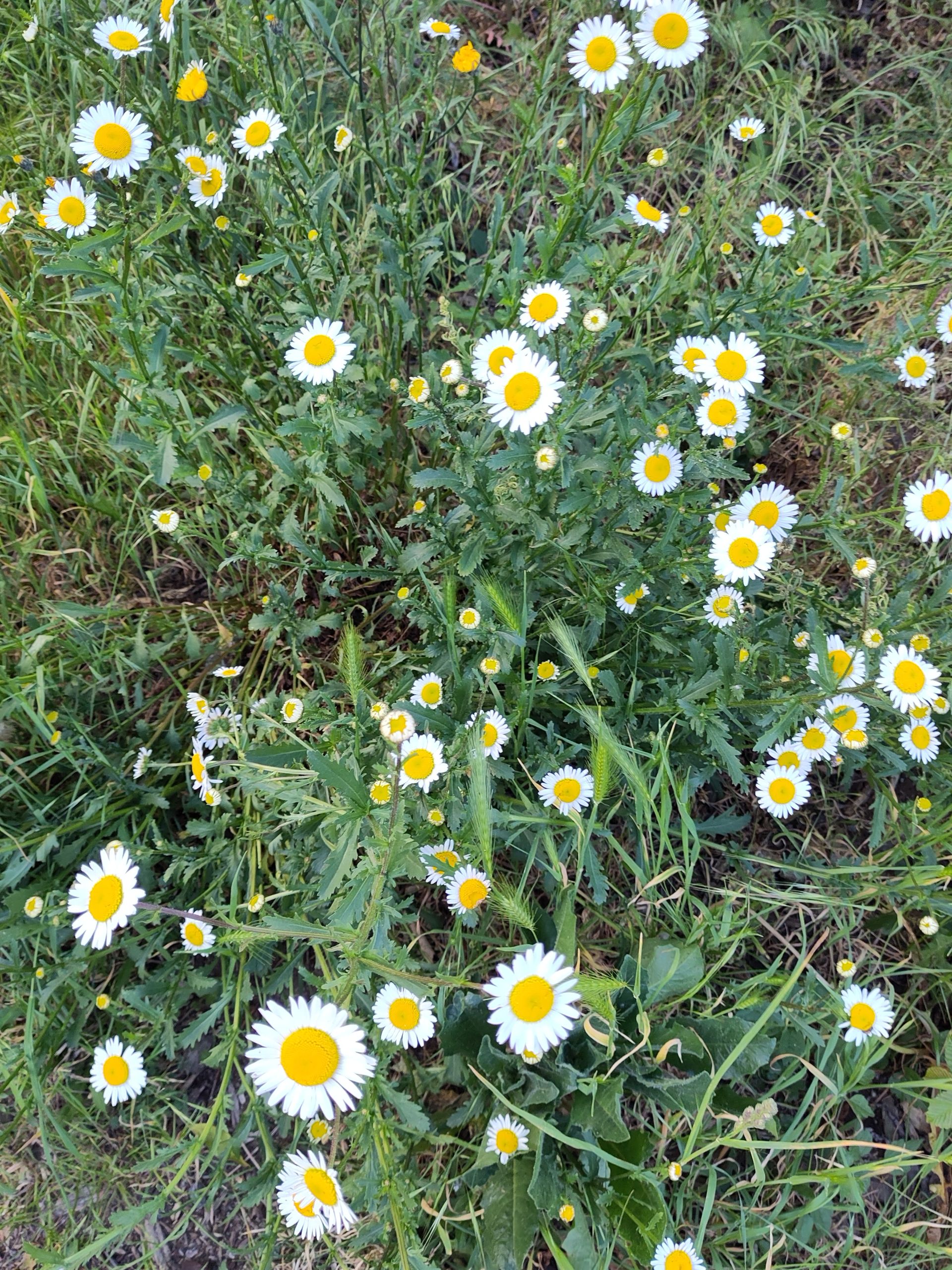 Image Natagora : Nature pour tous
